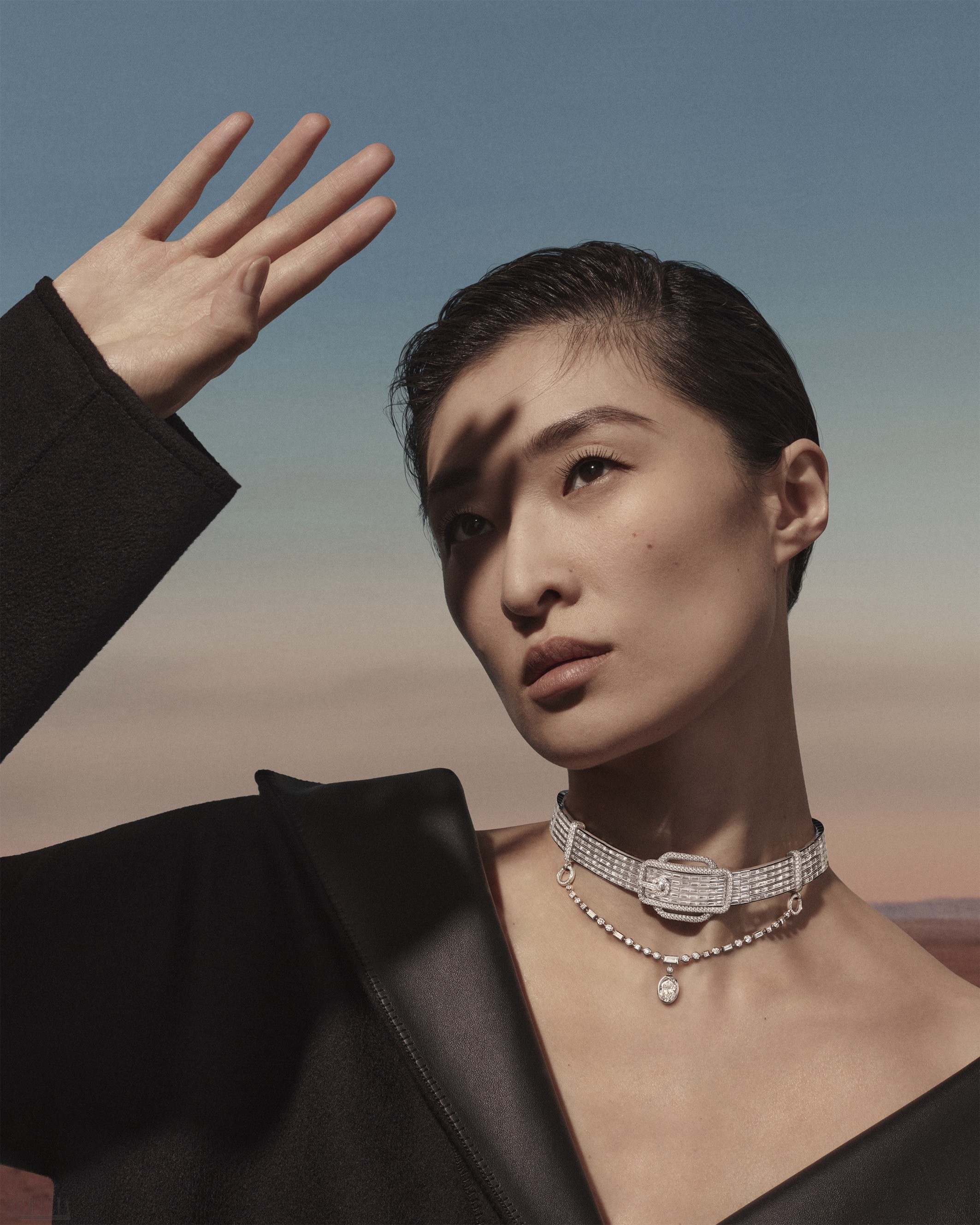 1_Attelage-dor-Chocker© Julien Martinez Leclerc.jpg