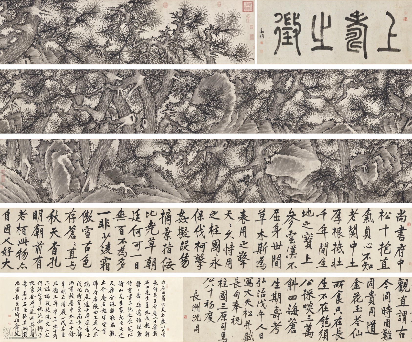 明 沈周（1427-1509）《大夫松为王恕八十寿书画卷》 图片由佳士得提供©️CHRISTIE’S IMAGES LTD. 2026.jpg
